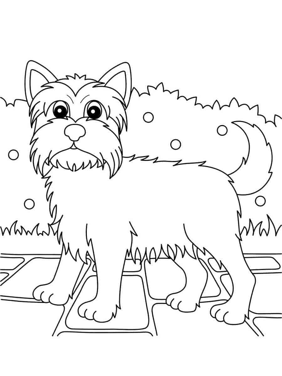 Desenho deYorkshire Terrier Para Crianças para colorir