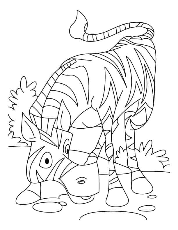 Desenho deZebra Engraçada para colorir