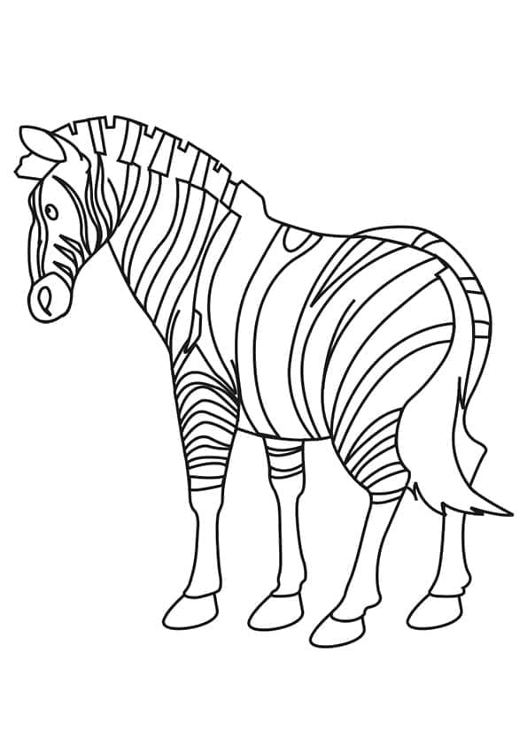 Desenho deZebra Normal para colorir