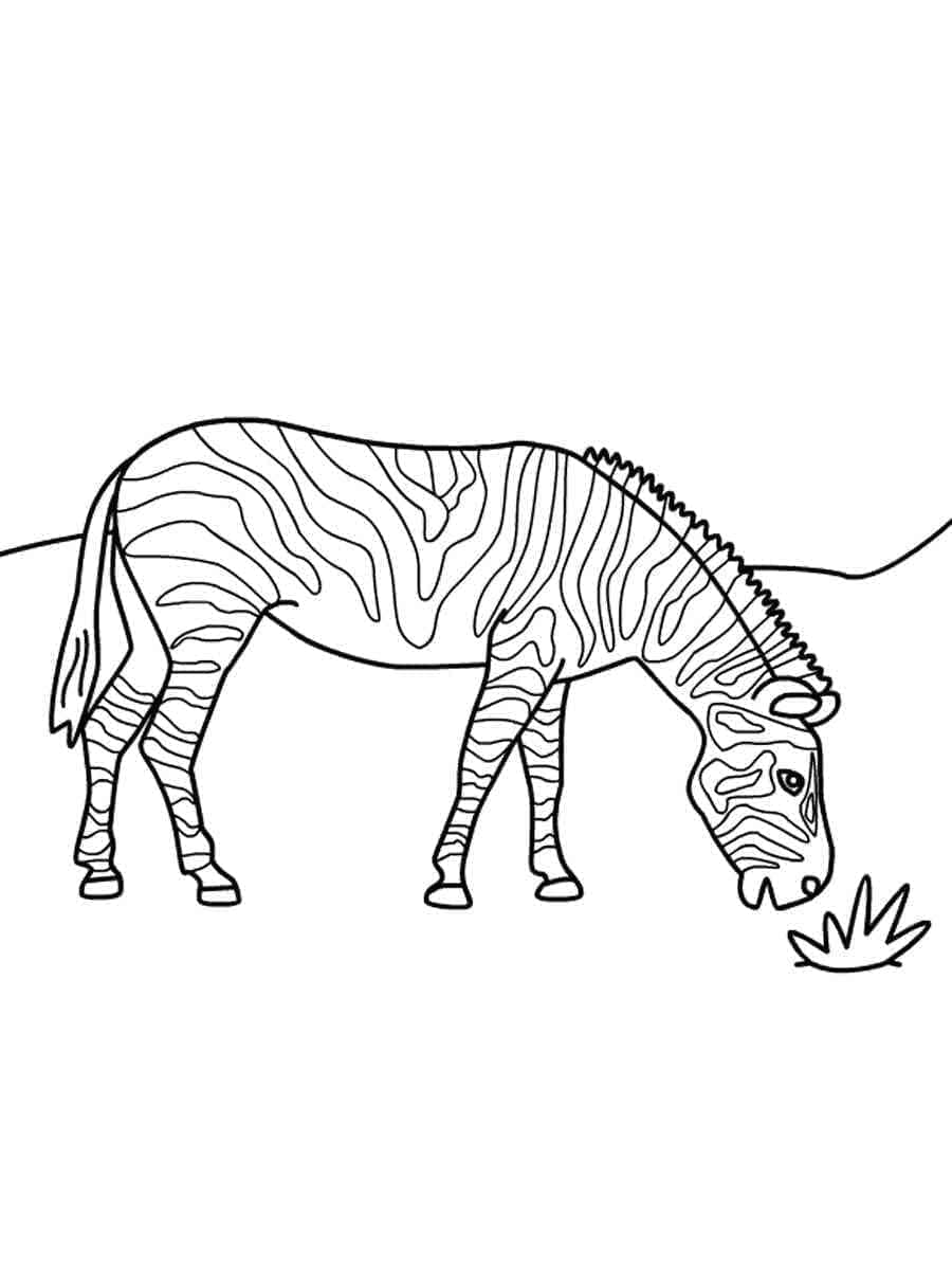 Desenho deZebra Para Crianças para colorir