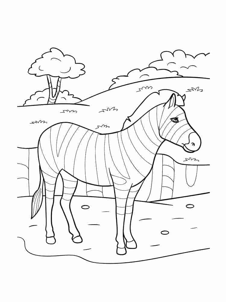 Desenho deZebra Selvagem para colorir