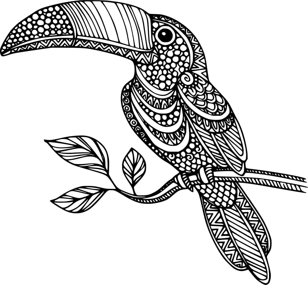 Desenho de Zentangle Tucano para colorir