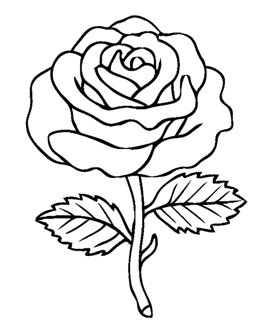 Desenho de Bela Rosa para colorir