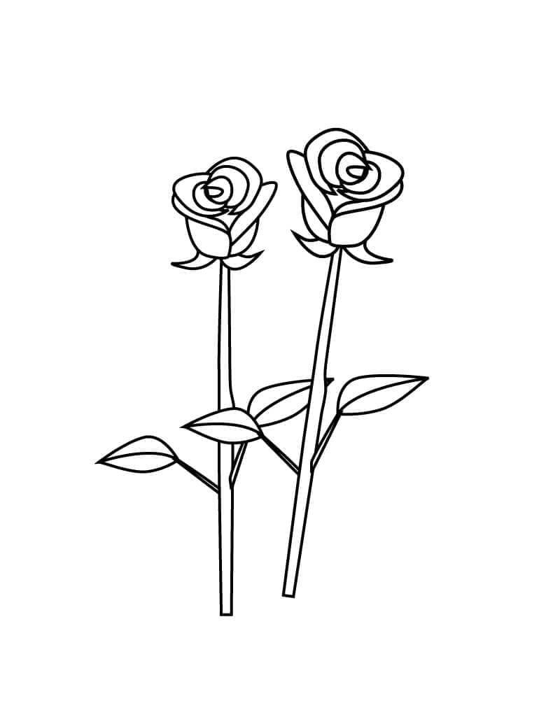 Desenho de Duas Rosas para colorir