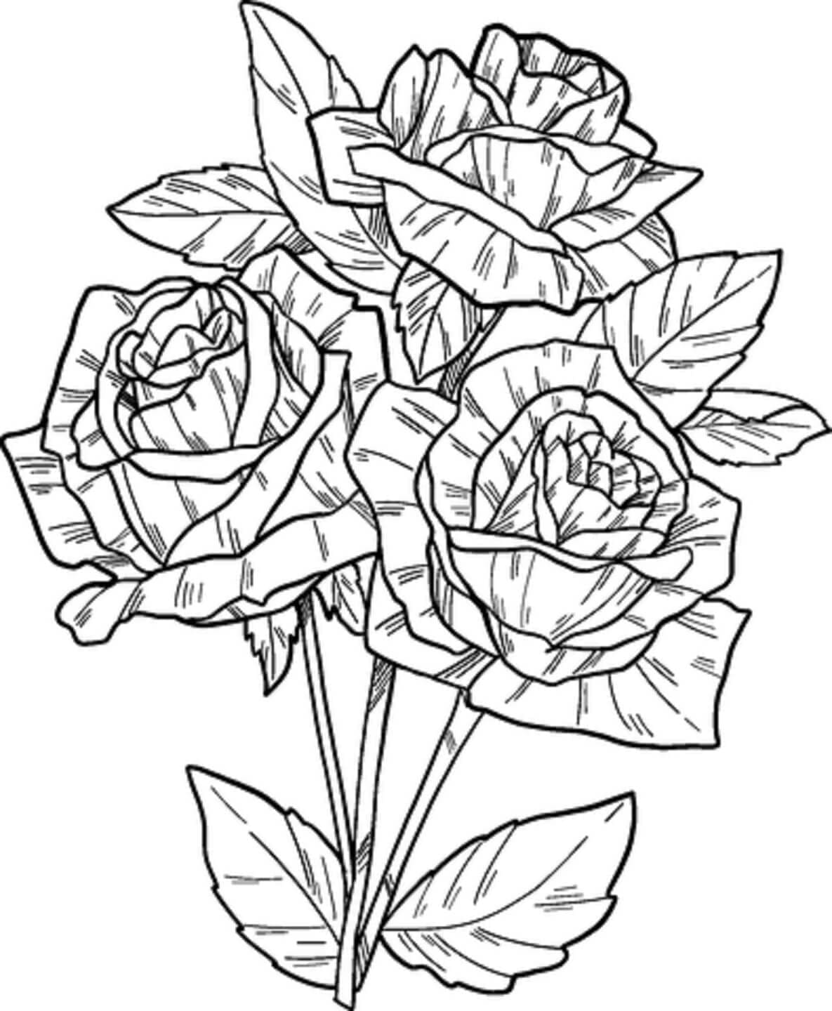 Desenho deFlores Rosas para colorir