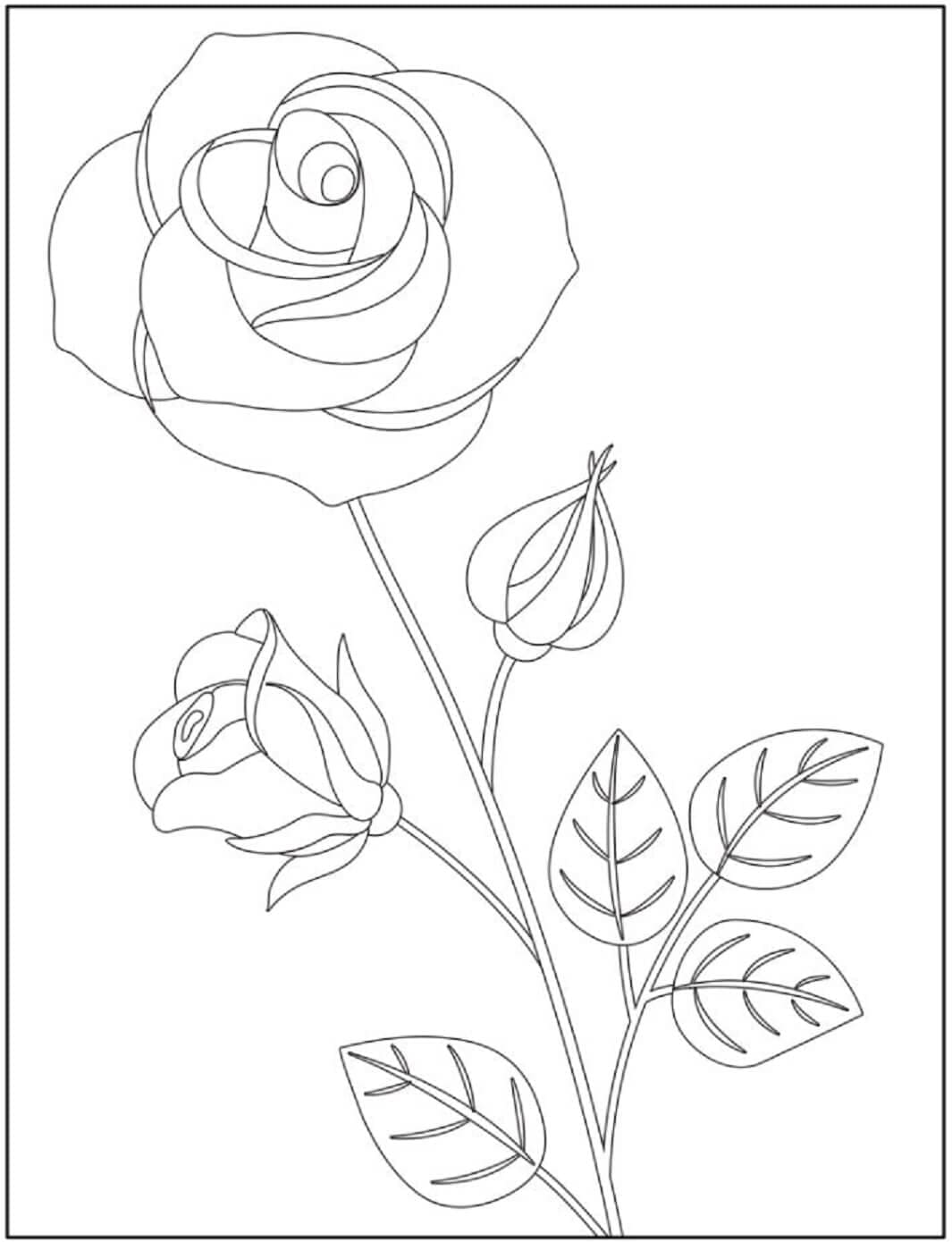 Desenho de Imprimível Rosa para colorir