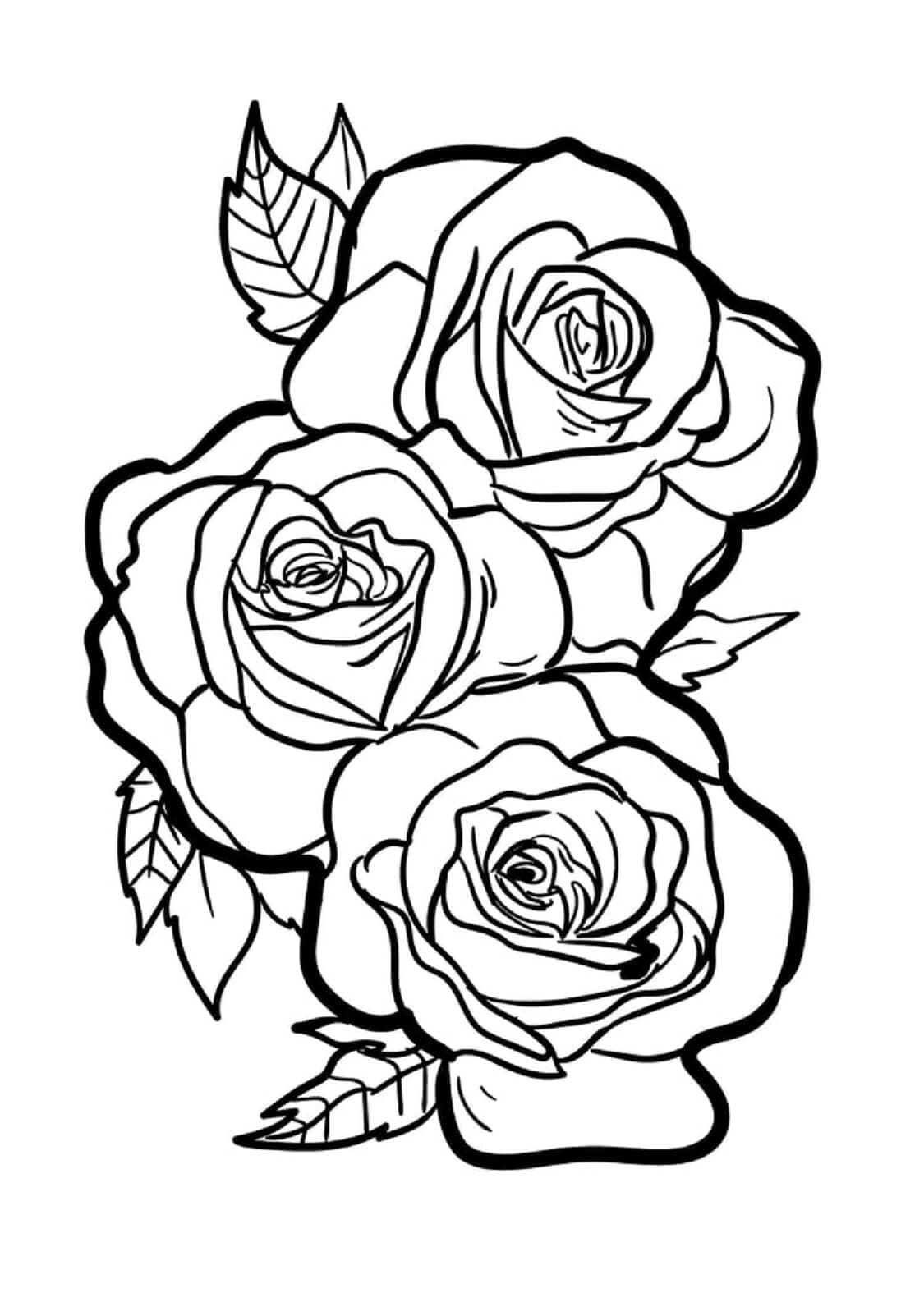 Desenho de Lindas Rosas para colorir