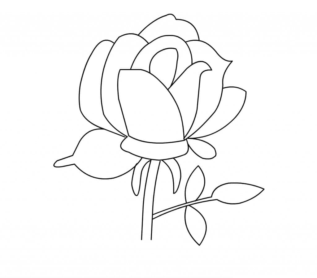 Desenho de Uma Rosa Muito Simples para colorir