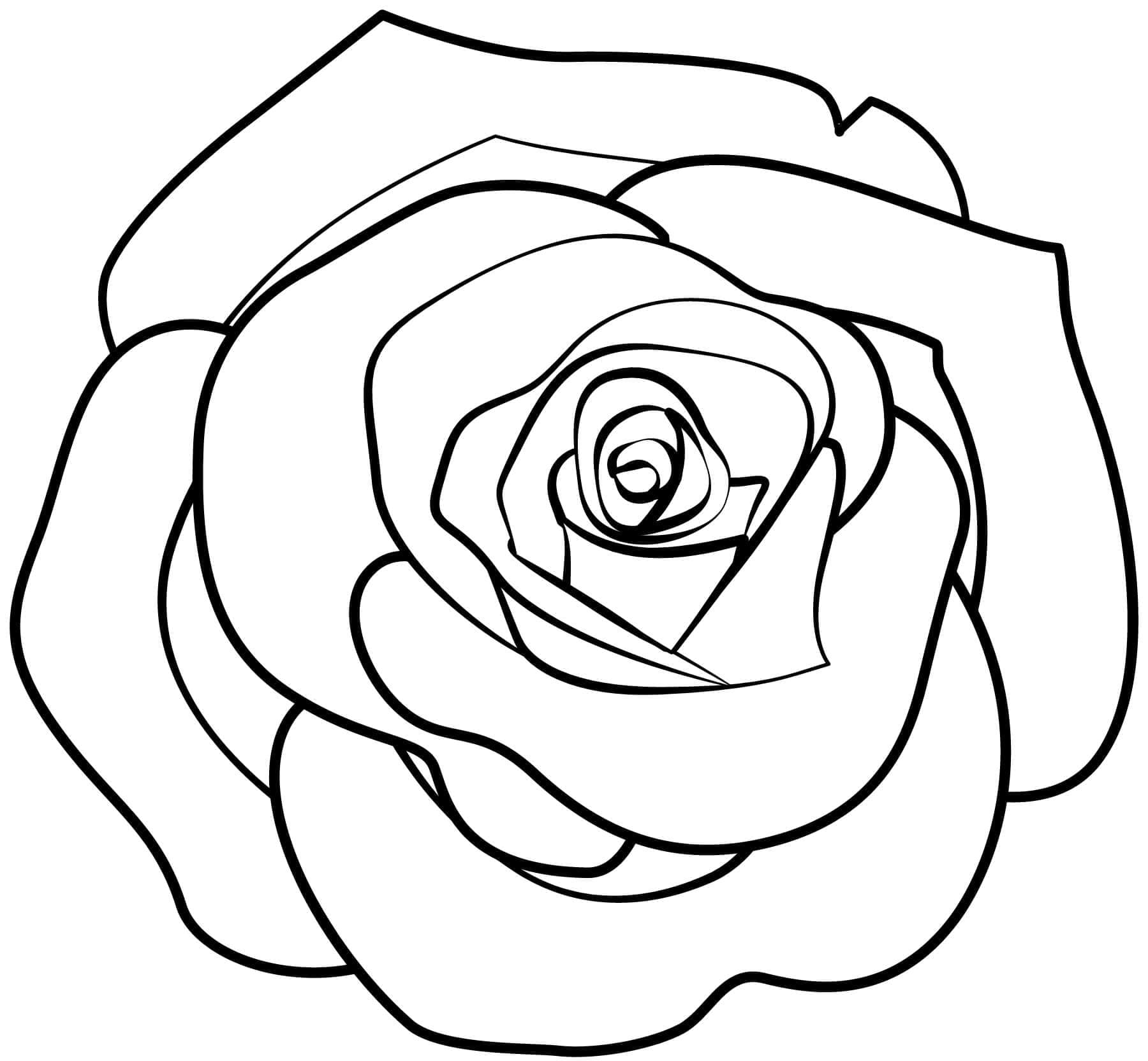 Desenho de Uma Rosa Simples para colorir