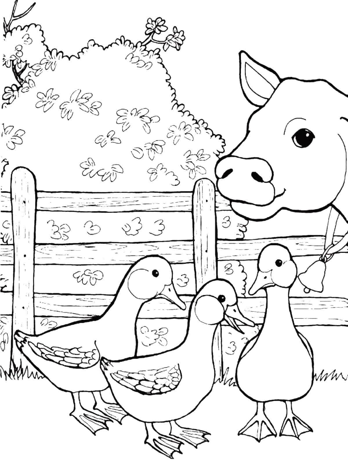 Desenho de Vaca e Patos na Fazenda para colorir