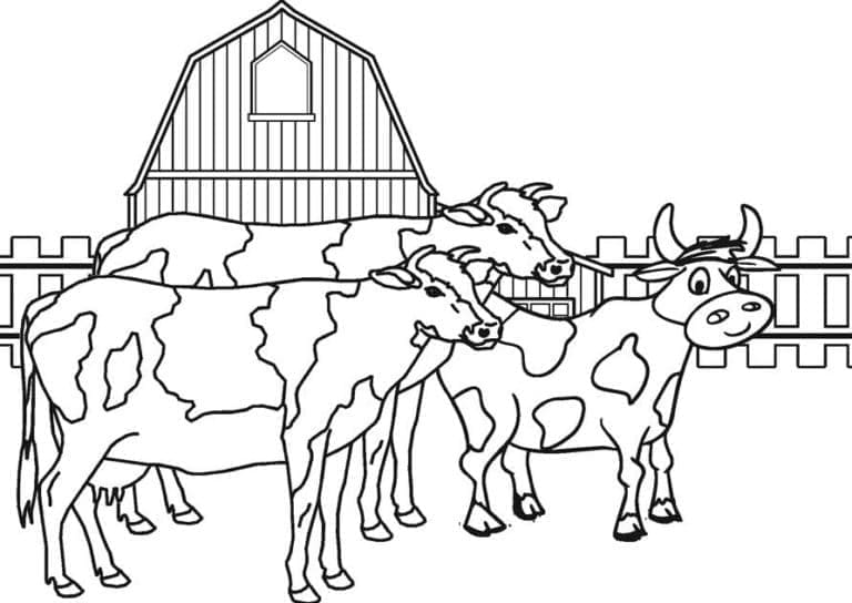 Desenho de Vacas na Fazenda para colorir