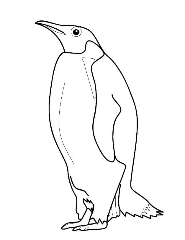 Desenho deAdorável Pinguim para colorir