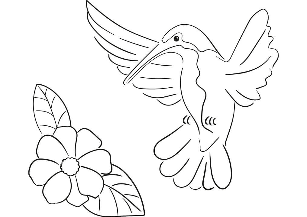 Desenho de Adorável Beija-Flor 5 para colorir