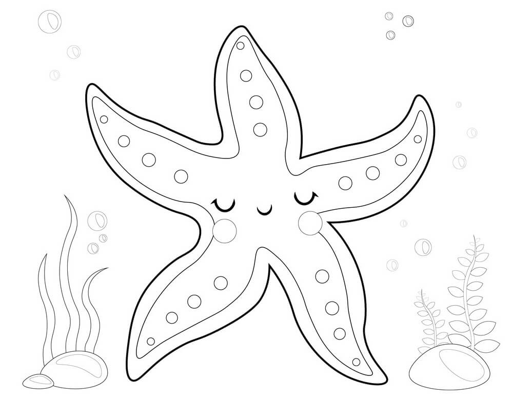 Desenho deAdorável Estrela do Mar para colorir