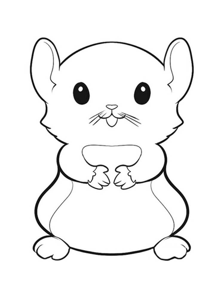 Desenho de Adorável Hamster 5 para colorir