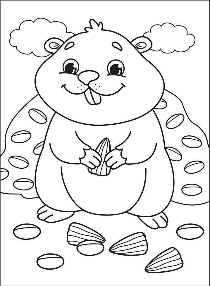 Desenho de Adorável Hamster para colorir