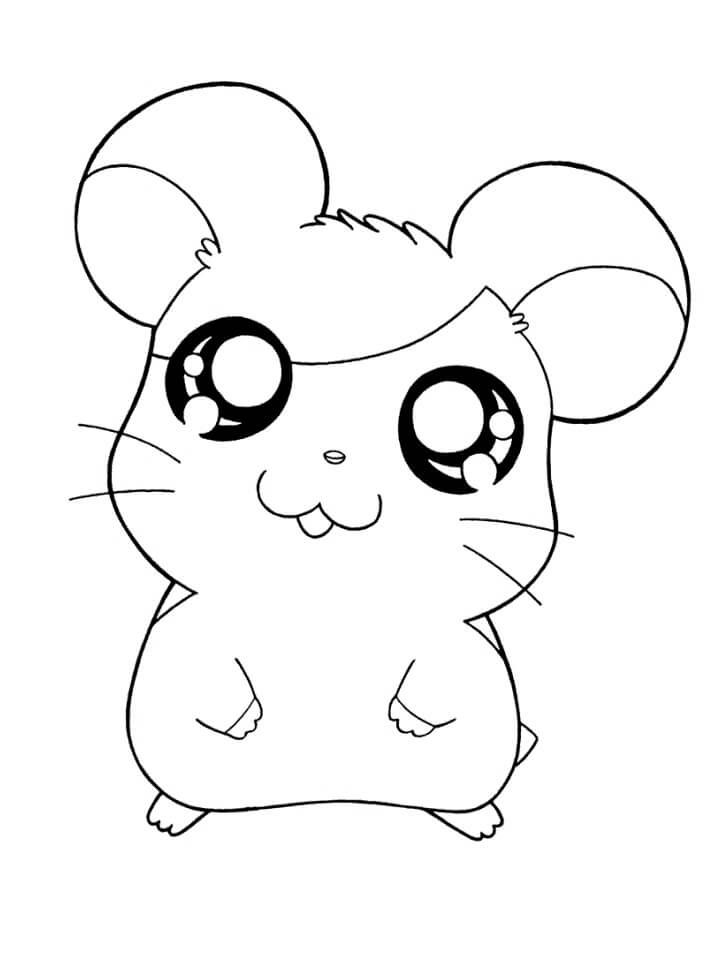 Desenho deAdorável Hamtaro 1 para colorir