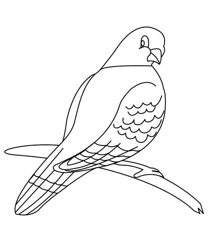 Desenho deAdorável Pombo 1 para colorir