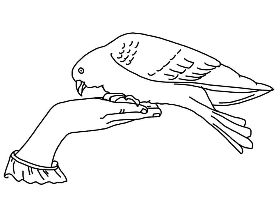 Desenho deAdorável Pombo 2 para colorir