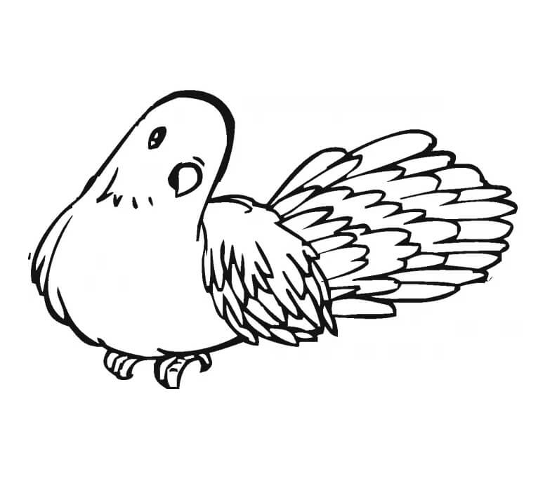 Desenho deAdorável Pombo 3 para colorir