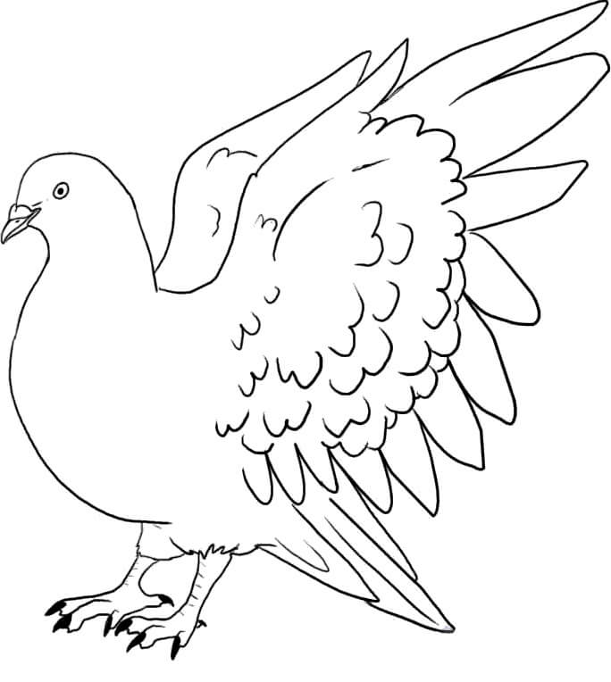 Desenho deAdorável Pombo 4 para colorir