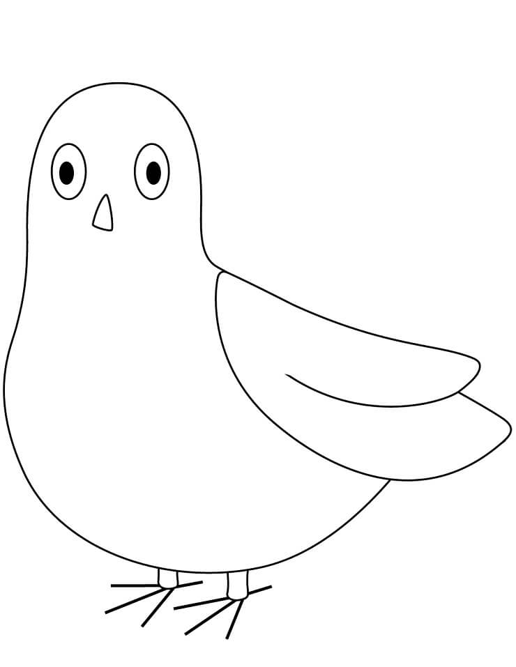 Desenho deAdorável Pombo para colorir