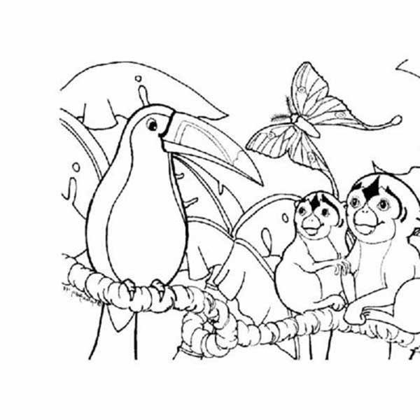 Desenho deAnimais da Amazônia 2 para colorir