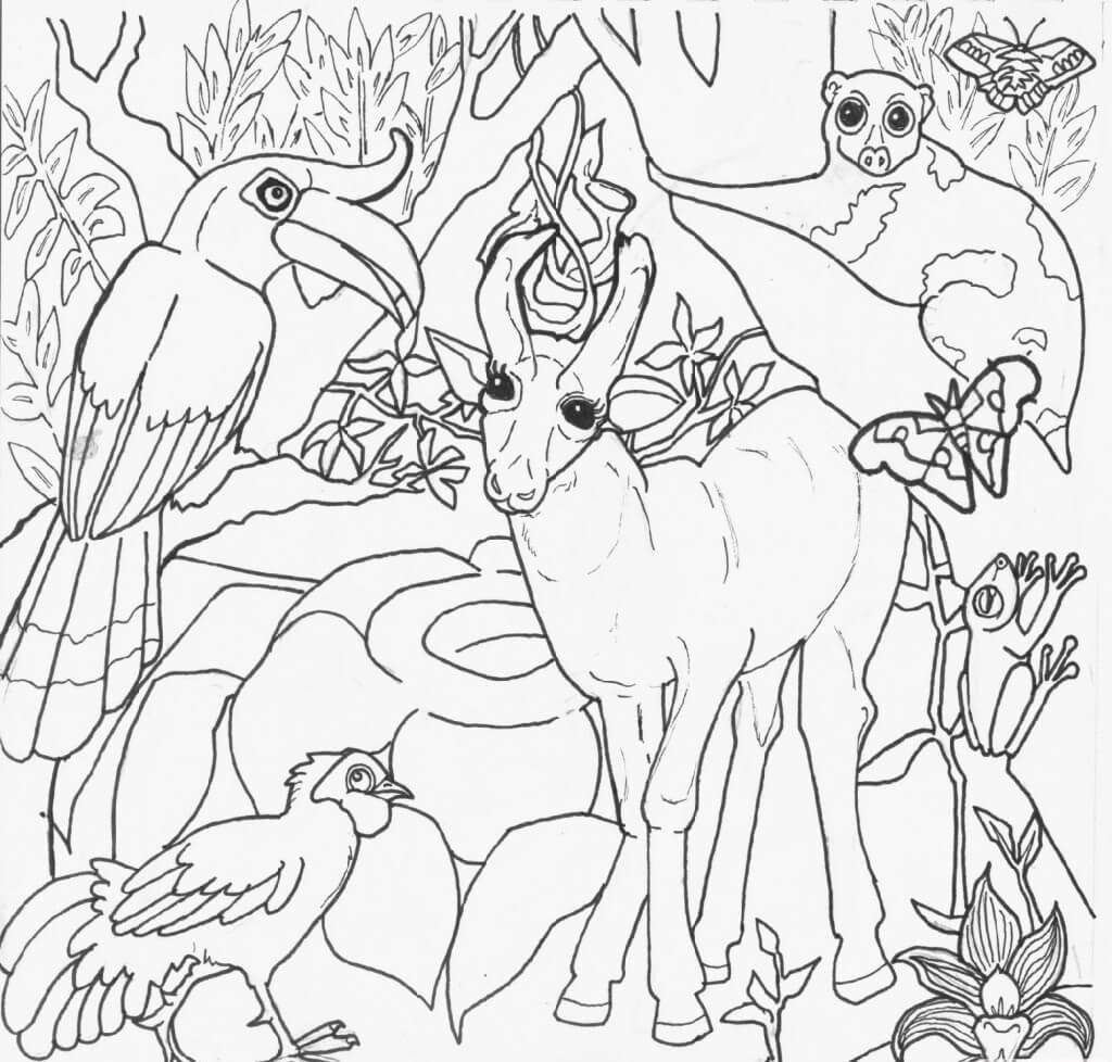 Desenho deAnimais da Amazônia 8 para colorir