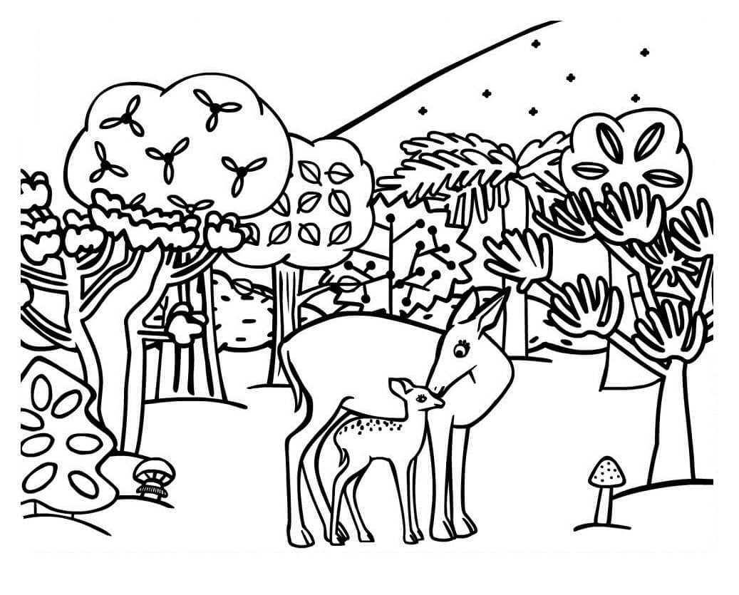 Desenho de Animais da Floresta para colorir