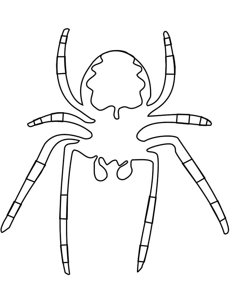 Desenho de Aranha 10 para colorir