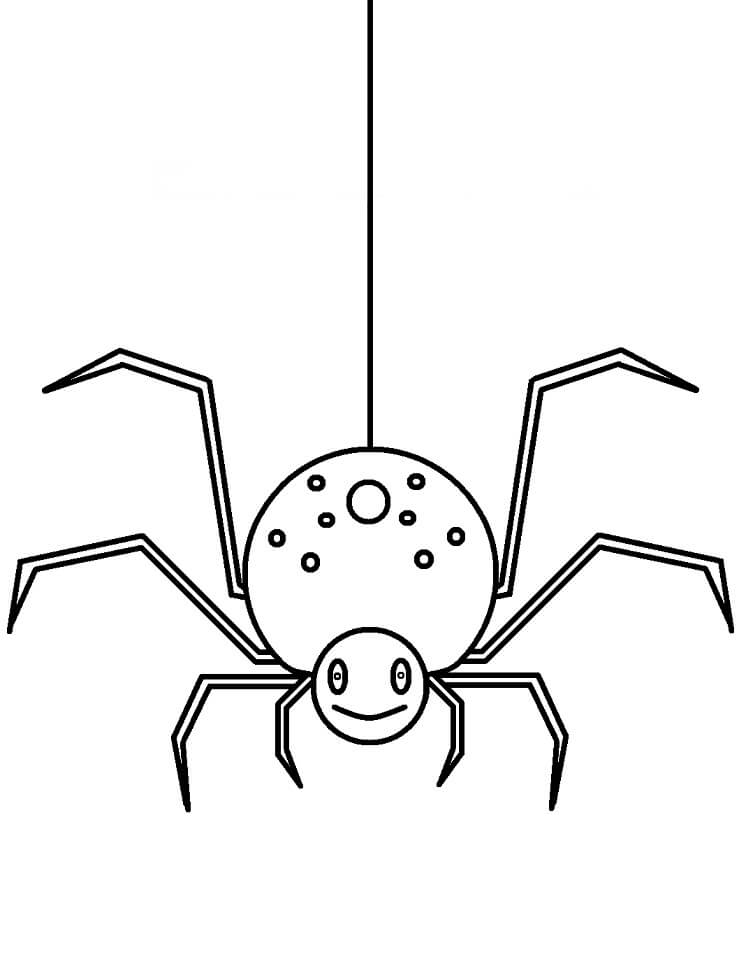 Desenho de Aranha 11 para colorir