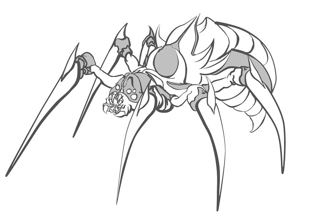 Desenho de Aranha 12 para colorir