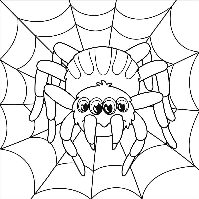 Desenho de Aranha 2 para colorir