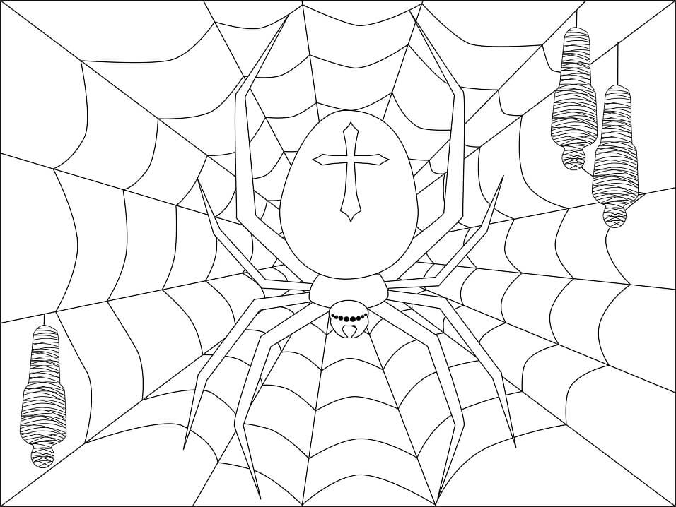 Desenho de Aranha 3 para colorir