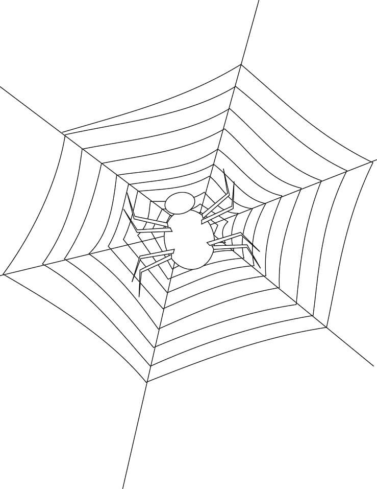 Desenho de Aranha 5 para colorir