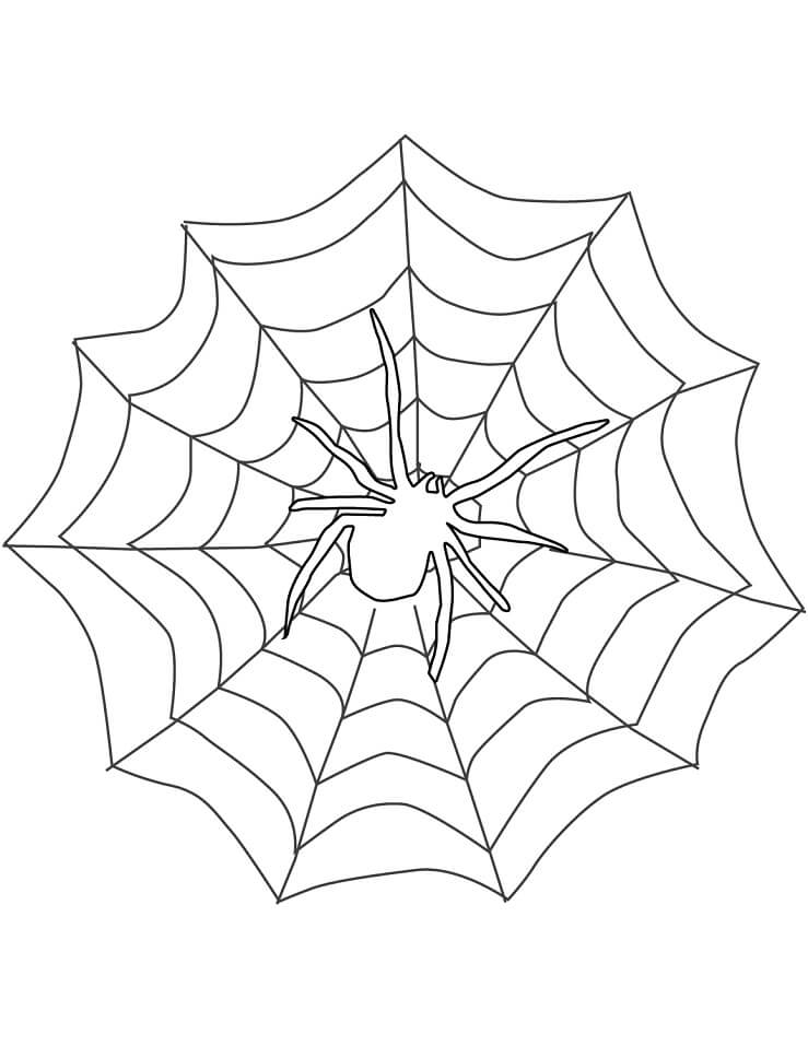 Desenho de Aranha 9 para colorir