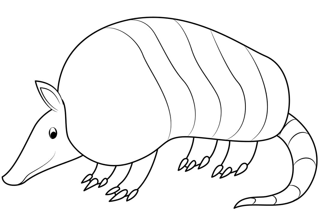 Desenho de Armadilho para colorir