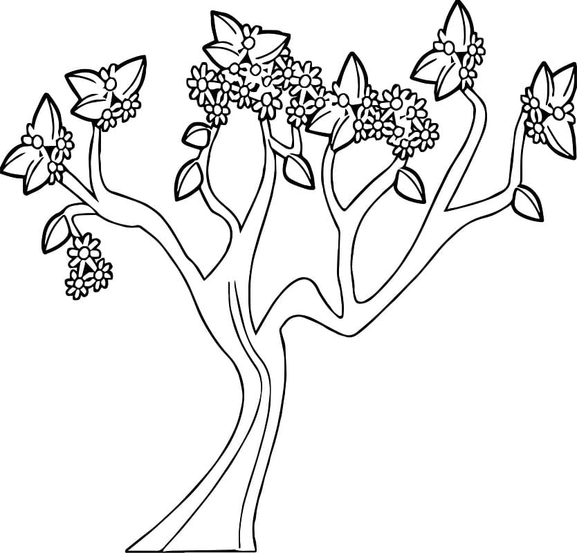 Desenho de Árvore da Primavera 8 para colorir