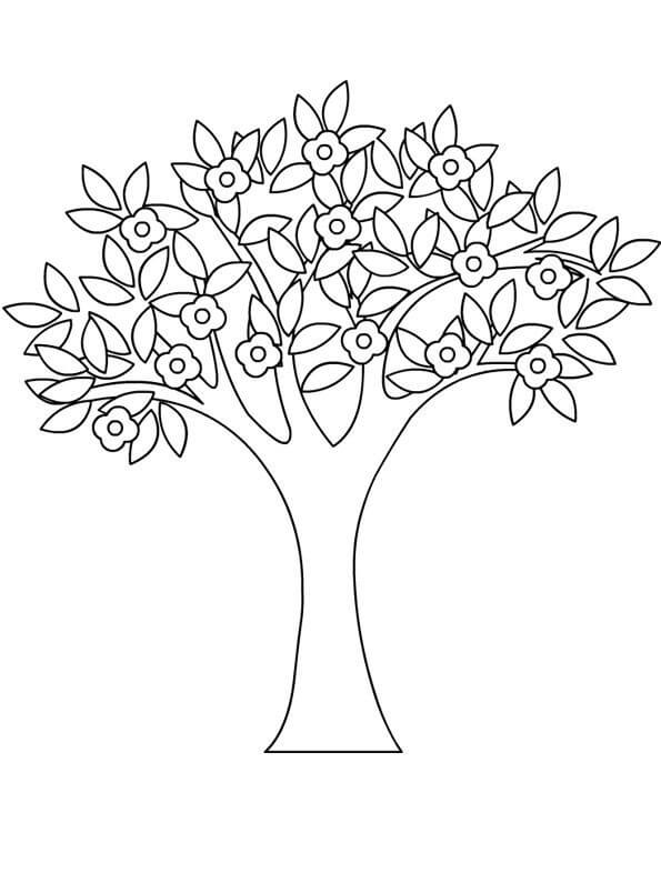 Desenho deÁrvore da Primavera para colorir