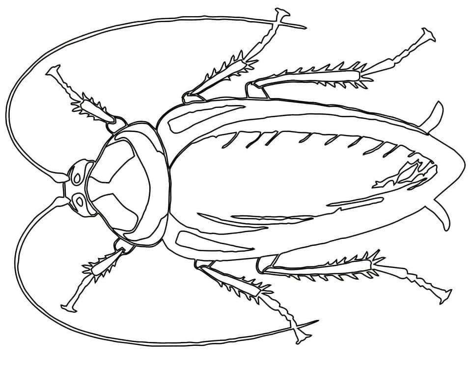 Desenho deBarata 12 para colorir