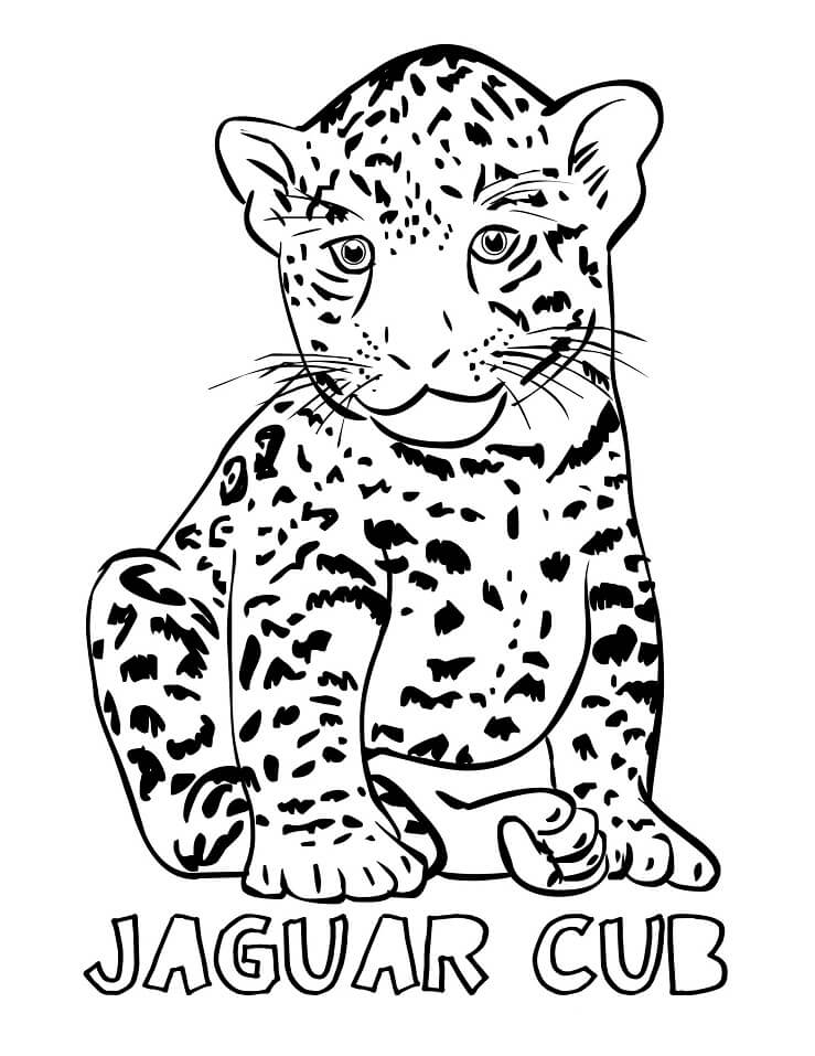 Desenho deBebê Jaguar 1 para colorir