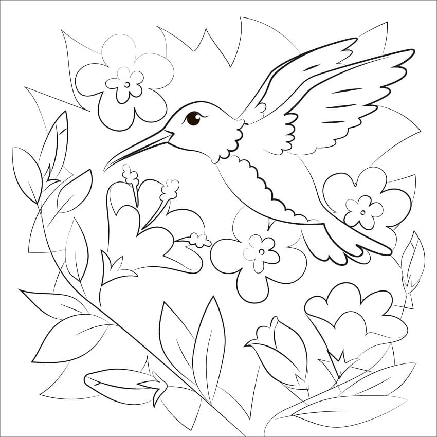 Desenho deBeija-flor Fofo 1 para colorir