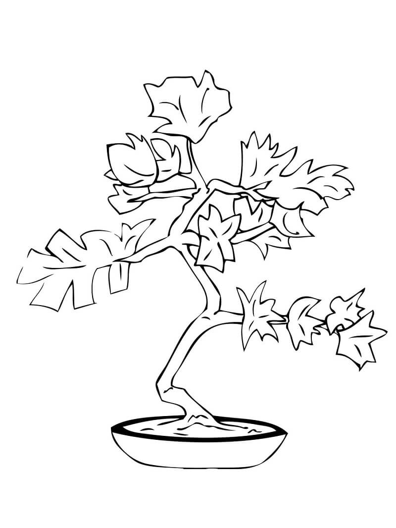 Desenho de Bonsai Normal 1 para colorir