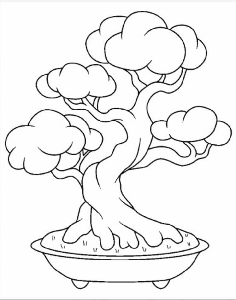 Desenho de Bonsai Normal 3 para colorir