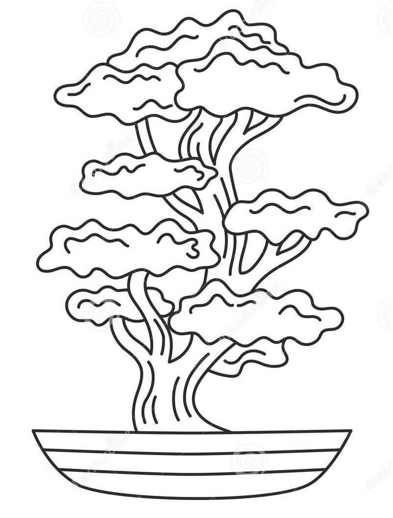 Desenho de Bonsai Normal 4 para colorir