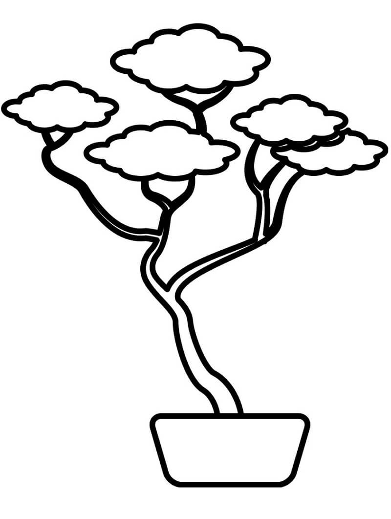 Desenho deBonsai Simples 3 para colorir