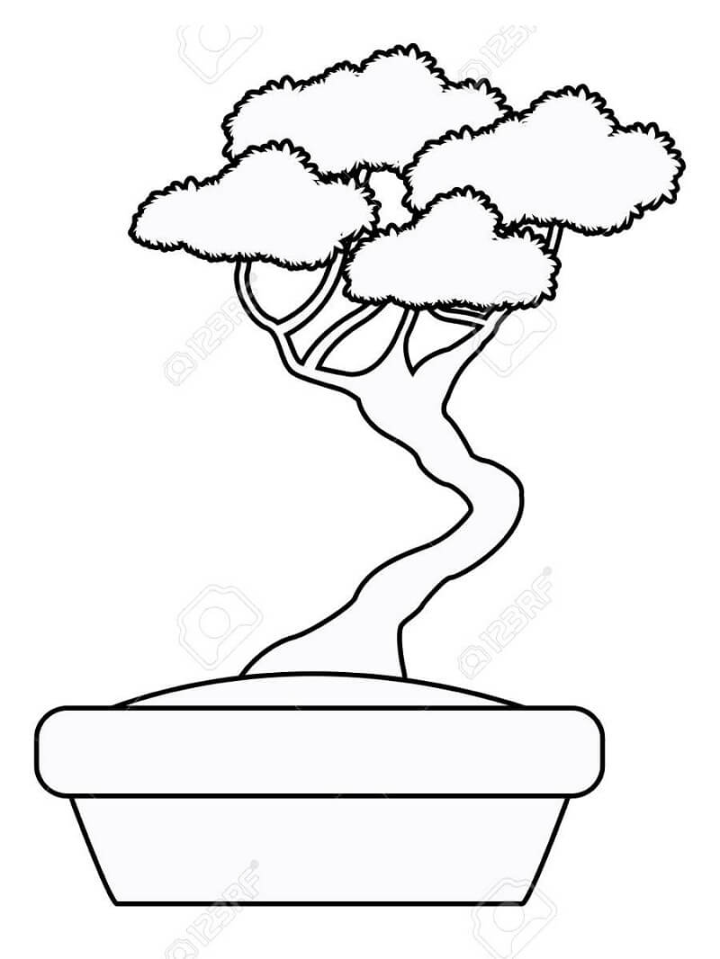 Desenho de Bonsai Simples 4 para colorir