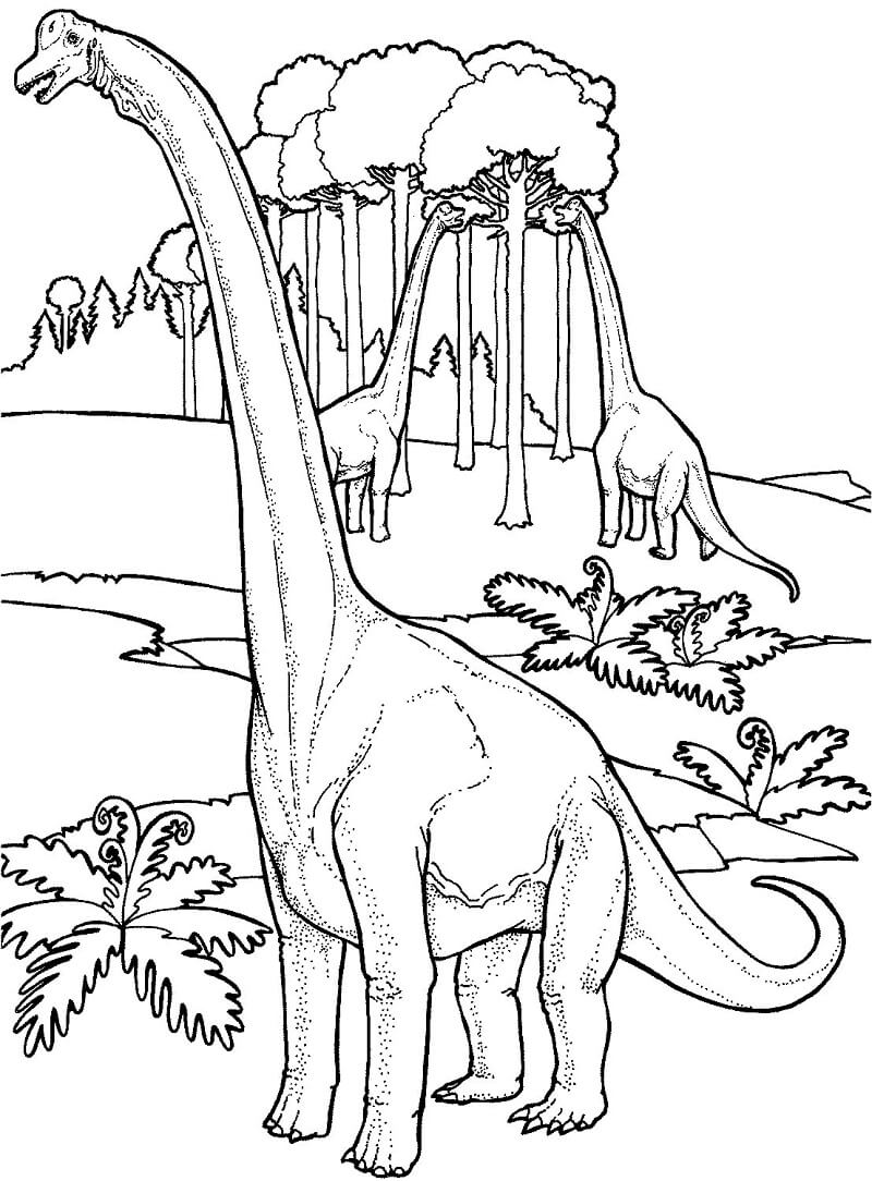 Desenho deBrachiosaurus para colorir