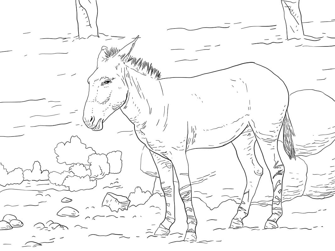 Desenho de Burro 3 para colorir