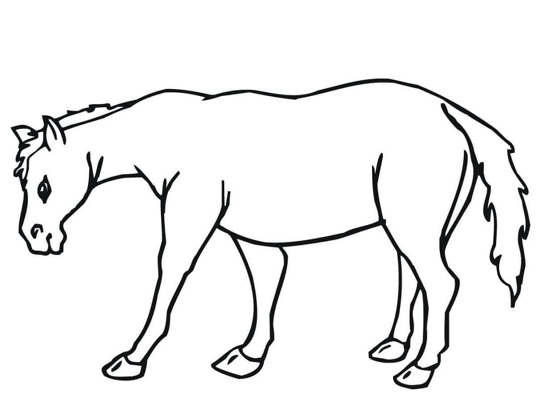 Desenho deBurro 6 para colorir